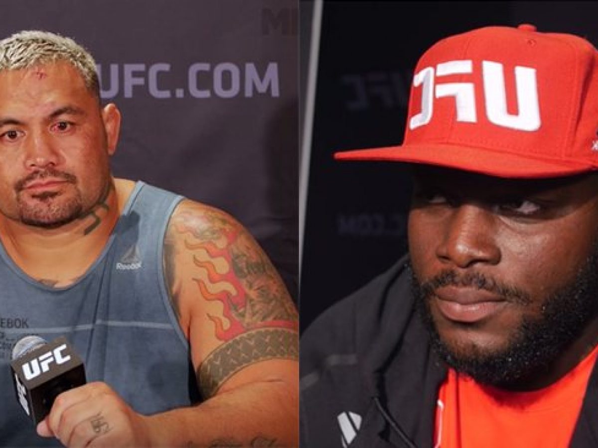 UFC Salary Report: Hunt Makes Eight Times More Than Lewis For Saturday's Main  Event? - Full Payouts - MMA Imports