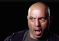 Longtime UFC commentator Joe Rogan.