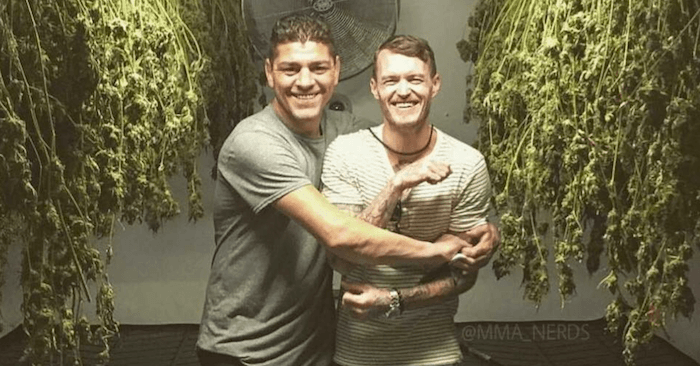 Nick Diaz Net Worth is still quite large. even being inactive in the UFC.