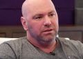 UFC President Dana White employs many of the male and female MMA fighters..