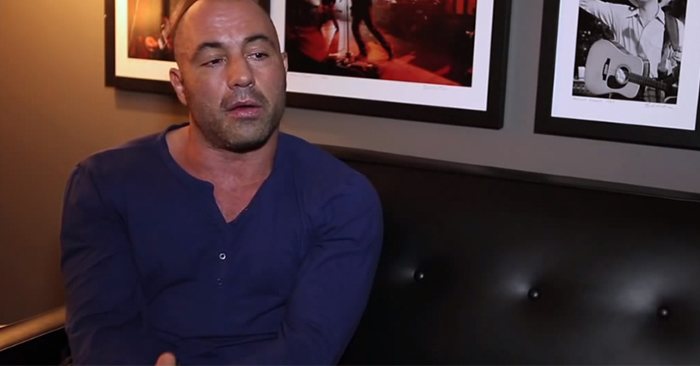 UFC's Joe Rogan.