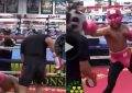 Top ranked UFC lightweight Kevin Lee sparring with boxing pound for pound king Floyd Mayweather Jr.