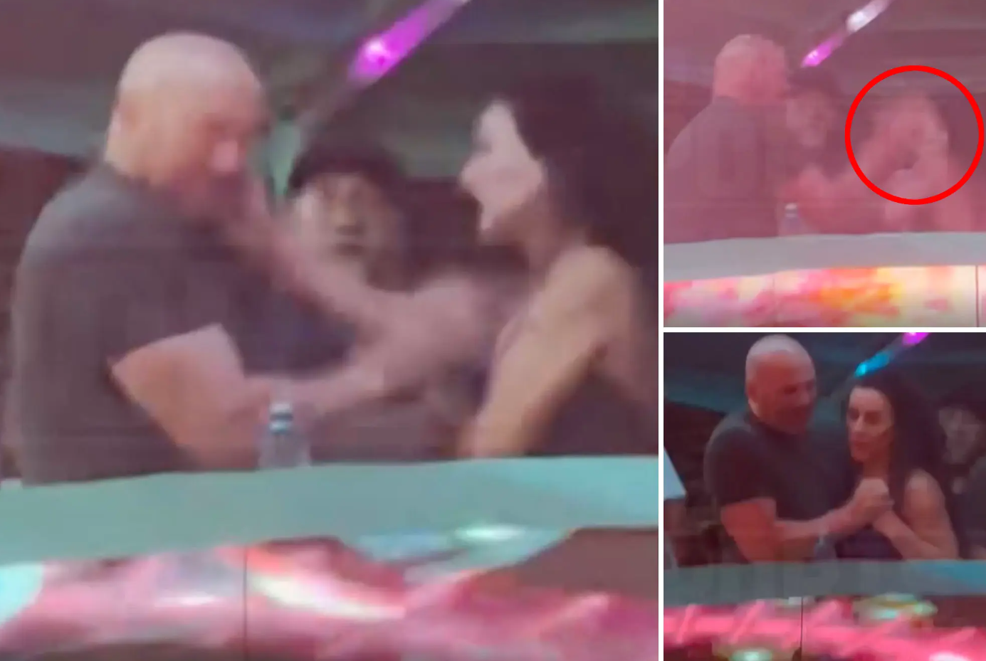 Dana White Wife Anne in Drunken Nightclub Fight