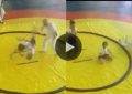 In one of the strangest finishes, a girl KO'd a referee using her opponents body while doing a Judo a throw.