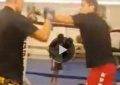 Nick Diaz and Nate Diaz sparring.