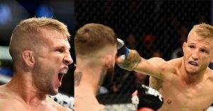 UFC fighters react to T.J. Dillashaw knocking out his former teammate Cody Garbrandt to win the UFC bantamweight title at UFC 217 in Madison Square Garden.
