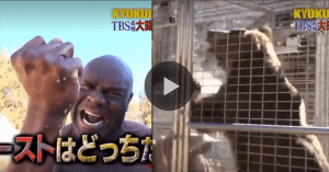 Bob Sapp will take on a wild bear on NYE.