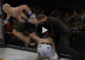 UFC lightweight champion Conor McGregor with another stunning knockout.