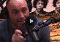 UFC commentator Joe Rogan.